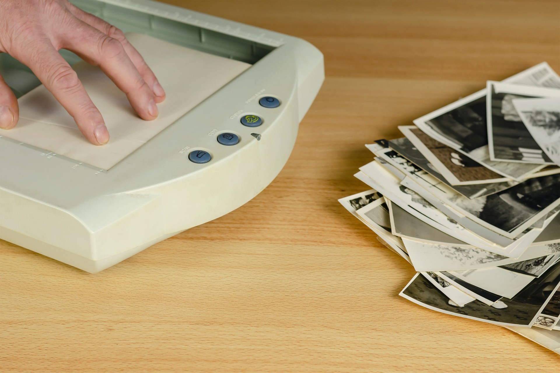 Scanning old photos. A man's hand puts a photo in the scanner.