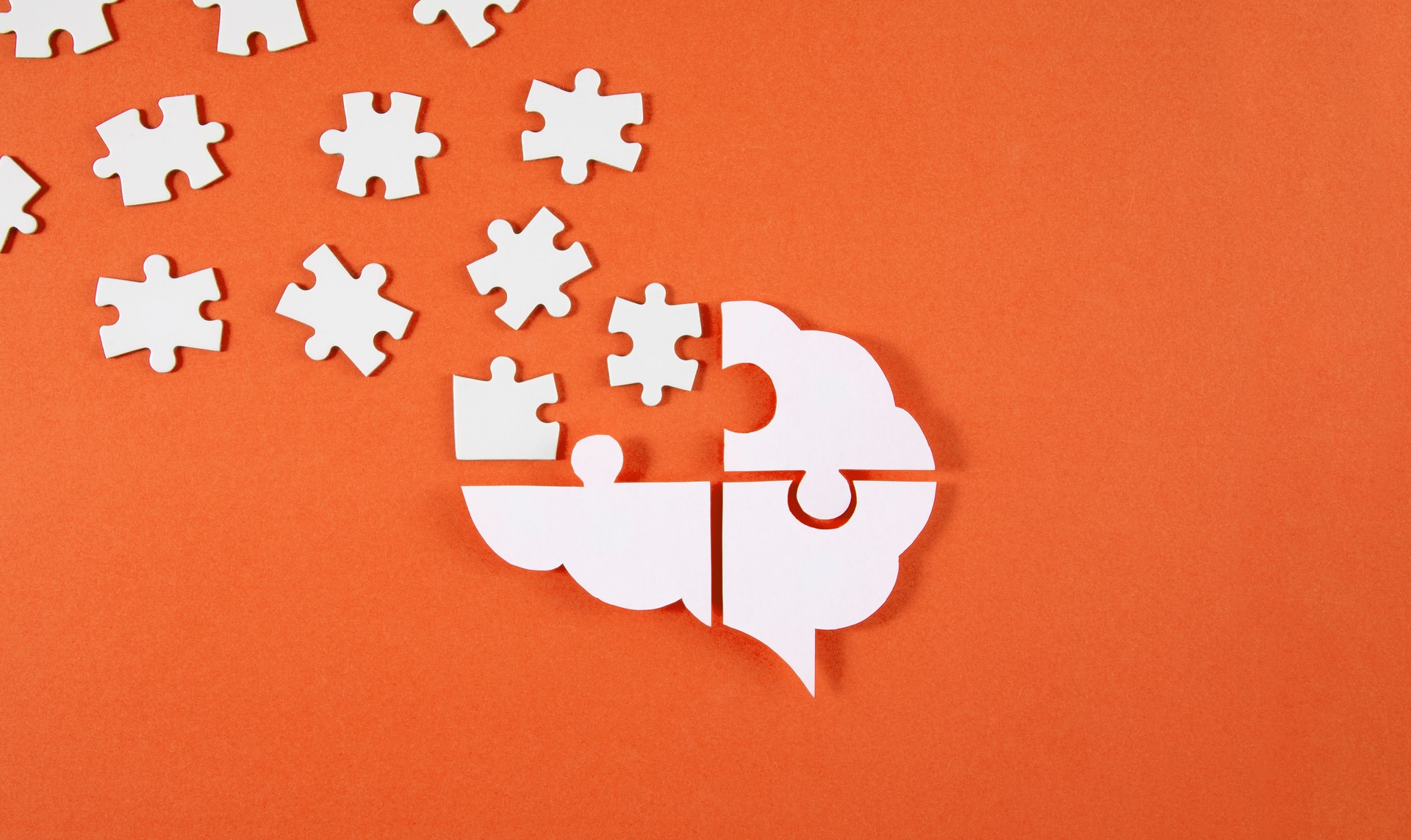 Brain Shaped Puzzle